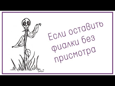 Видео: Если оставить фиалки без присмотра