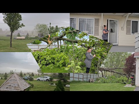 Видео: 😱 ЭТО БЫЛО СТРАШНО И ВНЕЗАПНО 😭,ПРЕДУПРЕЖДЕНИЯ 🌪 ТОРНАДО , ШТОРМ , СЕЛЬЧАНКА В АМЕРИКЕ!