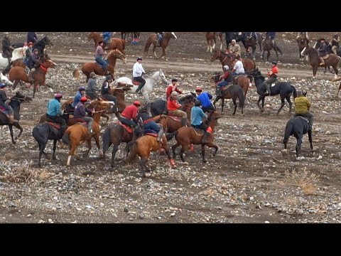 Видео: Аламан улак. Лейлек району. Шор Булак, Чимген. 07.11.2024