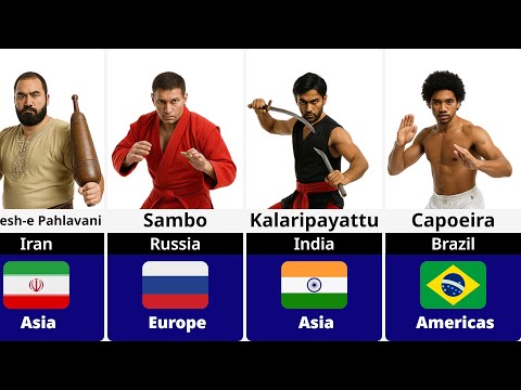 Видео: 🥋 Боевые искусства разных стран | Топ-100 боевых культур мира