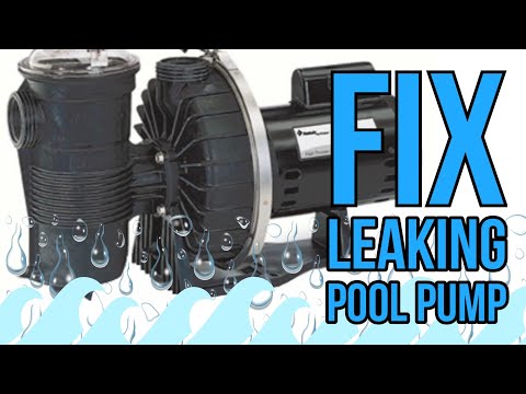 Видео: Как устранить протечку в насосе для бассейна | Замена уплотнения вала двигателя Pentair Challenge...