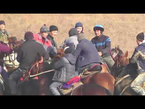Видео: Бата көкпар 30.12.2017 жыл Жылы су