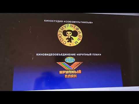 Видео: Открытие DVD-диска Возвращение блудного попугая