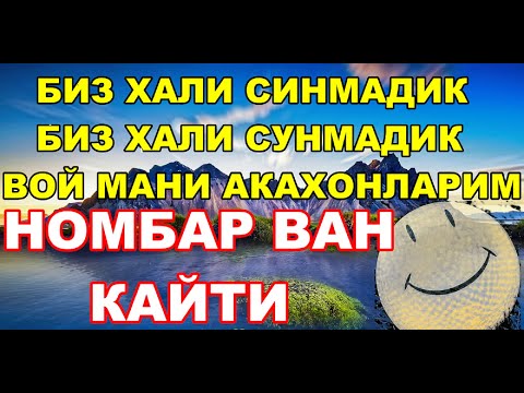 Видео: 40 МИНГЛАР ХАММА ЮТАДИ ГАЗЛАНГ