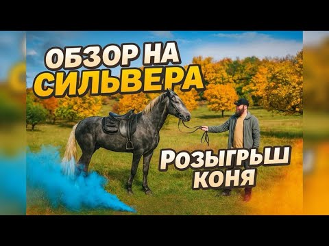 Видео: 🐎 На что способен Сильвер? Испытания коня: конкур, охота, походы | Александр Обжерин