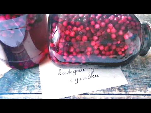Видео: Вкуснейший КОМПОТ из ИРГИ с добавлением красной смородины.