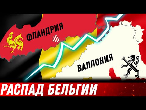 Видео: Развод по-бельгийски: Валлония и Фландрия хотят отделиться