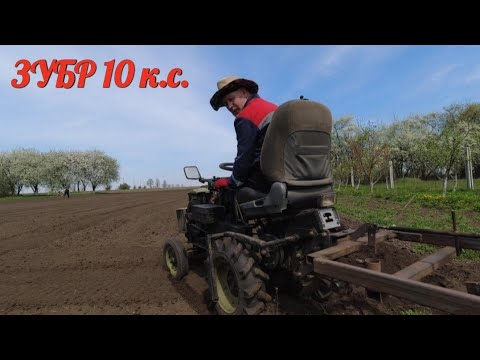 Видео: Посадка картоплі