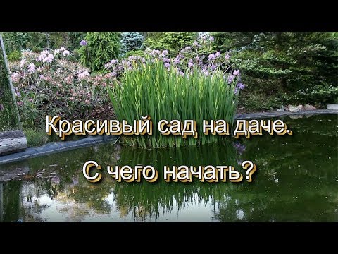 Видео: Красивый сад на даче. С чего начать?