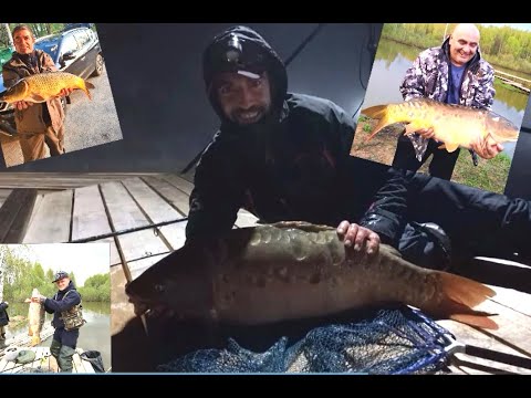 Видео: ЛОВЛЯ КАРПА В АПРЕЛЕ МЕСЯЦА! РЫБАЛКА В КОКИНО (НОВЫЙ ВОДОЕМ)