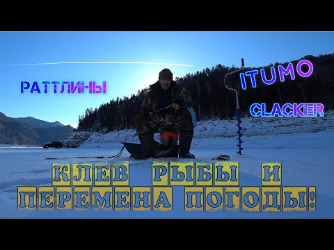 Видео: ✅ Зимняя рыбалка на раттлины! Хороший клев окуня!