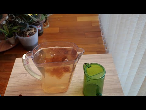 Видео: Полив орхидей с удобрениями 2 в 1 в этом периоде. Отличная партия для орхидей, за что отвечают.