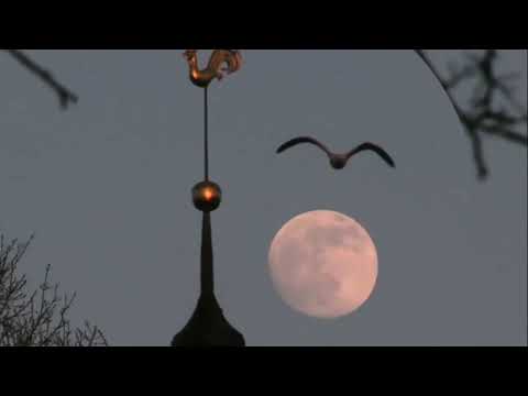 Видео: РМУ 1976 - 1980 годы