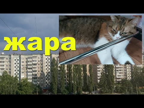 Видео: Безуспешно боремся с жарой))) Капризы погоды! Маленькие покупки - экономлю перед ярмаркой))).