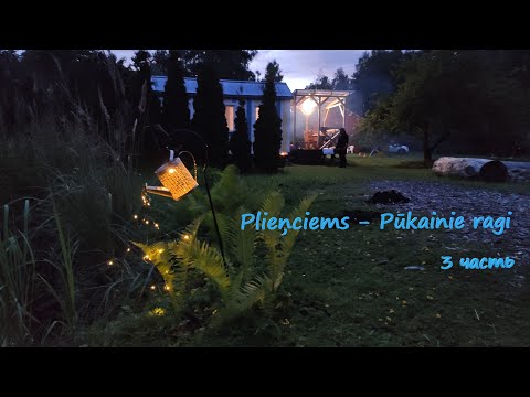 Видео: Plieņciems - загадали у Золотой рыбки дачу у моря, кемпинг "Пушистые Рога", Тукумс - 3 часть