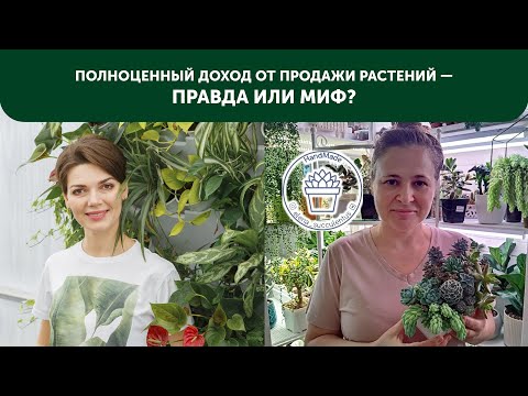 Видео: Полноценный доход от продажи растений—правда или миф?