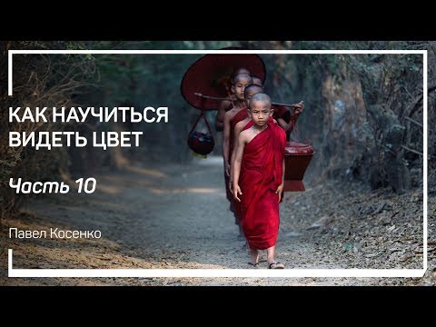 Видео: Цветовые рефлексы. Как научиться видеть цвет. Павел Косенко