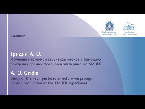 Видео: А. Гридин «Изучение партонной структуры каонов с помощью рождения прямых фотонов в эксперименте...»