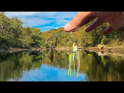 Видео: Вот насколько ХОРОШЕЙ может быть осенняя рыбалка!