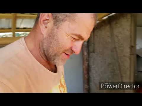 Видео: Парк Победы в Лихой. И про осликов.