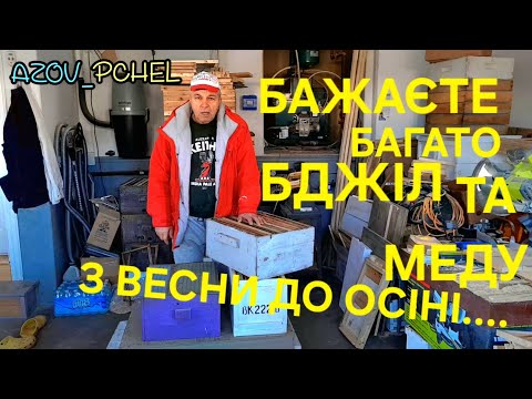 Видео: Змінюємо методи бджільництва. Прискоренний розвиток бджолосімей #бжільництвов6тирамковихвуликах