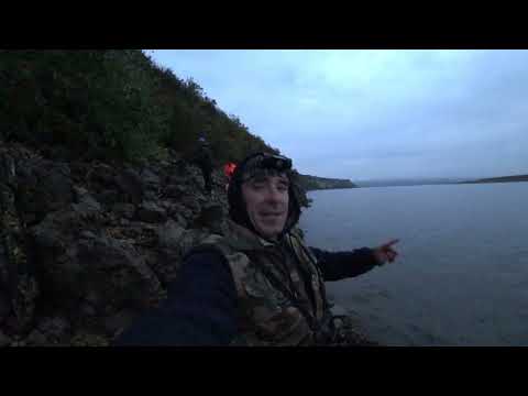 Видео: Болонское удилище, Поплавок. Река Прут.