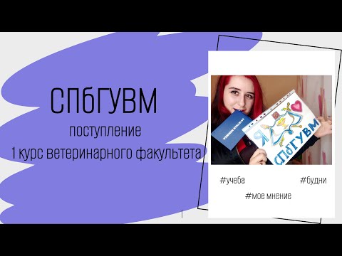 Видео: СПбГУВМ: поступление и 1 курс