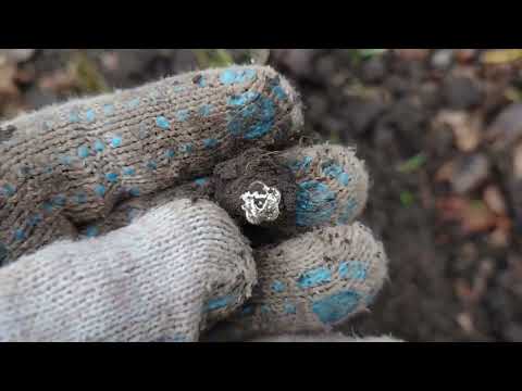 Видео: XP DEUS 2. Если сильно неймётся, то копаем где придётся! 🤣🤣🤣 #xpdeus #коп2024