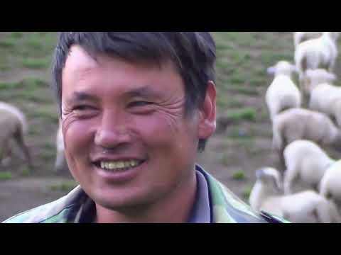 Видео: ШӘЛКӨДЕ ЖАЙЛАУЫ (АЛМАТЫ ОБЛЫСЫ)