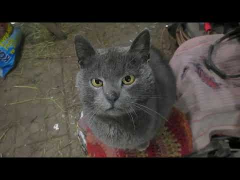 Видео: Шо з фрезером? - нові лімби і заготовка для верстака НГФ-110Ш3