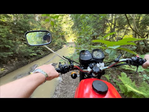 Видео: Через лес и грязь на Планета 5 ИЖ