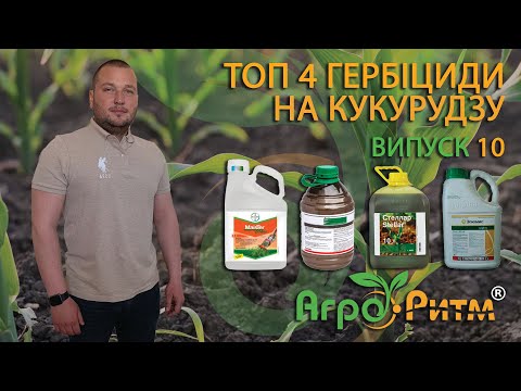 Видео: ТОП 4 СТРАХОВИХ ГЕРБІЦИДИ НА КУКУРУДЗУ. ЩО ОБРАТИ: МАЙСТЕР ПАУЕР, ЕЛЮМІС, СТЕЛЛАР ЧИ "КОКТЕЙЛЬ"?