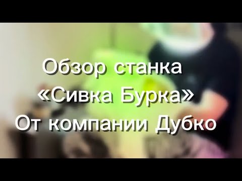 Видео: И снова Дубко. Мой новый Сивка-бурка.