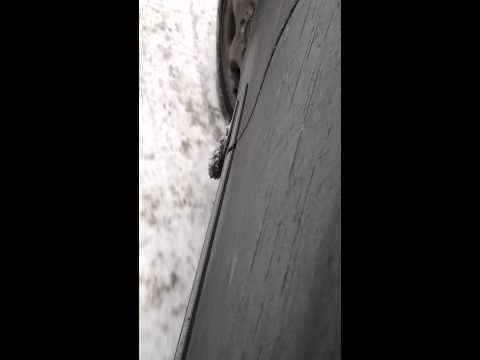 Видео: Стук W211 М112 (4)