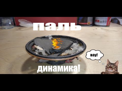 Видео: паль динамиков из радио