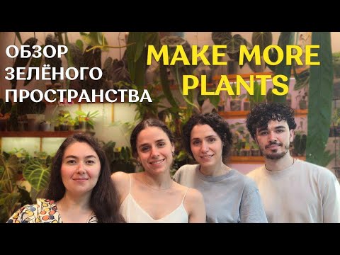 Видео: В ГОСТЯХ у MMP | от ЦВЕТОЧНОГО ХОББИ к СЕМЕЙНОМУ делу | очень КРАСИВОЕ пространство с РАСТЕНИЯМИ 🌿