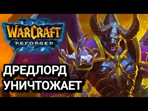 Видео: Дредлорд уничтожает‼️ JohnnyCage (Ud) vs Dark (Hum) Warcraft 3 Reforged
