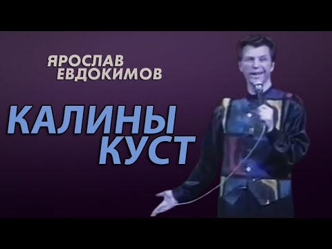 Видео: Ярослав Евдокимов - Калины куст