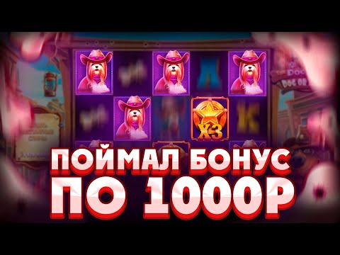 Видео: ПОЙМАЛ БОНУС ПО 1000Р И СМОГ СДЕЛАТЬ НЕРЕАЛЬНЫЙ КАМБЭК В THE DOG HOUSE DOG OR ALIVE (ЭТО ЖЕСТЬ!!!)