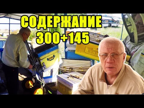 Видео: Содержание пчел 300+145. Как собрать гнезда пчел в зиму без подкормки.