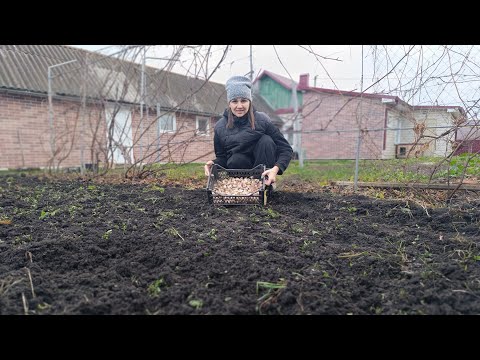 Видео: РАЗБИРАЕМ МЕБЕЛЬ,БОЛЬШИЕ ПЕРЕМЕНЫ/САЖАЮ ЧЕСНОК/РЕМОНТ И УЮТ В ДОМЕ