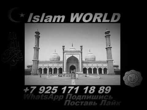 Видео: Дуа что бы разрушить планы врага