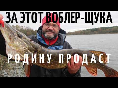 Видео: ЗА ЭТОТ ВОБЛЕР ЩУКА РОДИНУ ПРОДАСТ :)