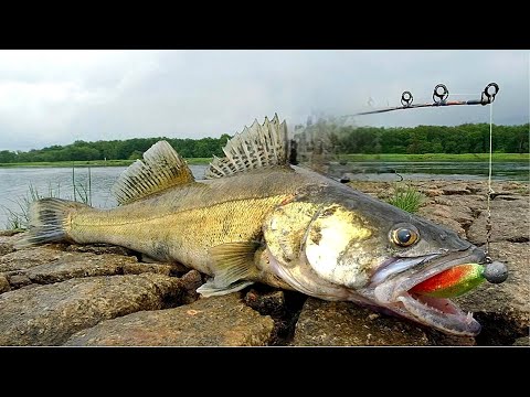 Видео: Водохранилище Птич,бывало и лучше