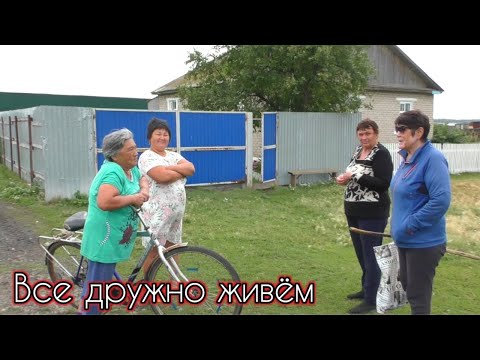 Видео: Сев Казахстанская обл.Озеро,леса и не большое село Байсал.