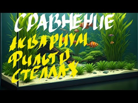 Видео: Поговорим, посмотрим, сравним