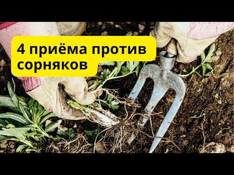 Видео: Сорняки навсегда исчезнут  с огорода! ❌🌿Проверено!