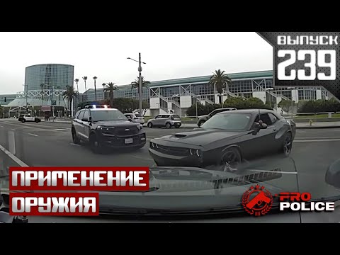 Видео: Применение оружия полицией: Исполнители [Выпуск 239 2025]