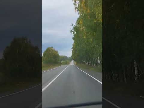 Видео: #природа #дорога