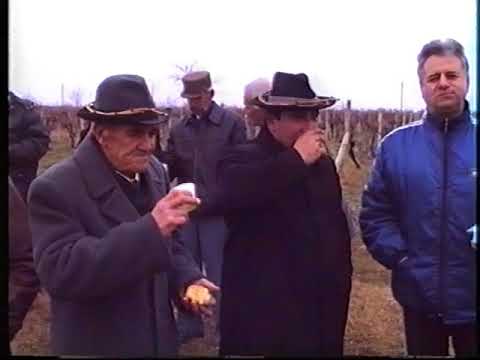 Видео: КОИЛОВЦИ -Трифон Зарезан-2000 година